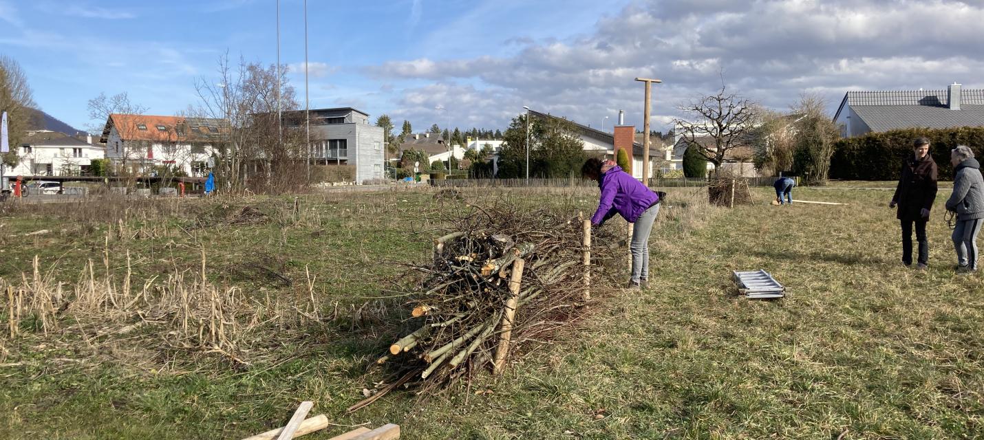 NVV Buchs AG Garten der Vielfalt