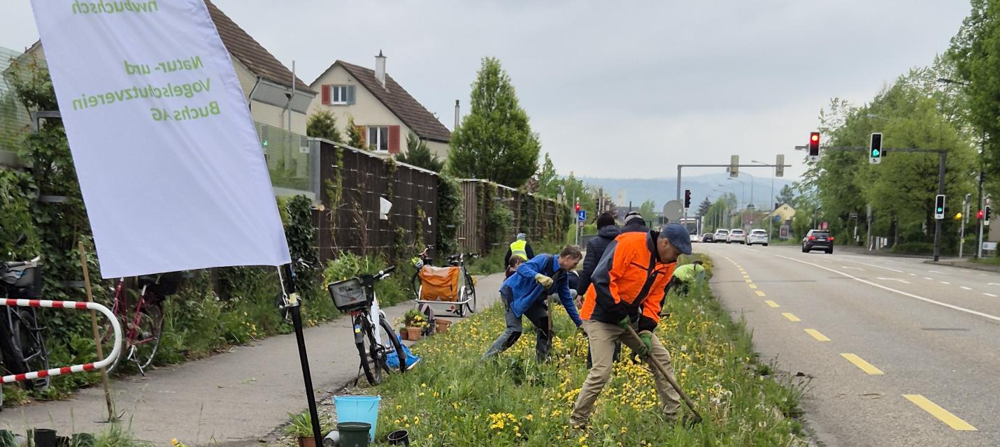 Menschen am Pflanzen ausgraben